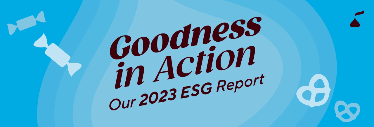 goodness in action 2023 esg report cover